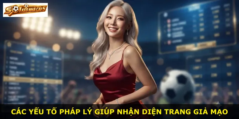 Các yếu tố pháp lý giúp nhận diện trang giả mạo