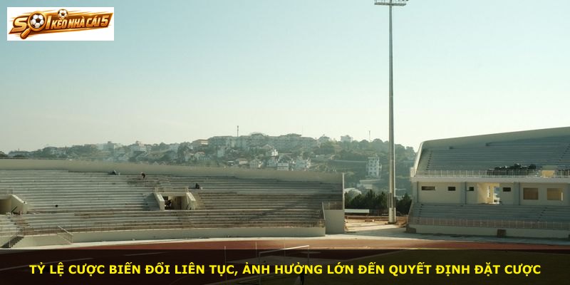 Tỷ lệ cược biến đổi liên tục, ảnh hưởng lớn đến quyết định đặt cược