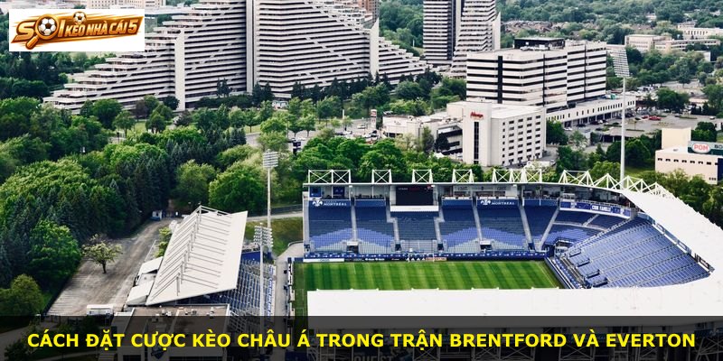 Cách đặt cược kèo châu Á trong trận Brentford và Everton
