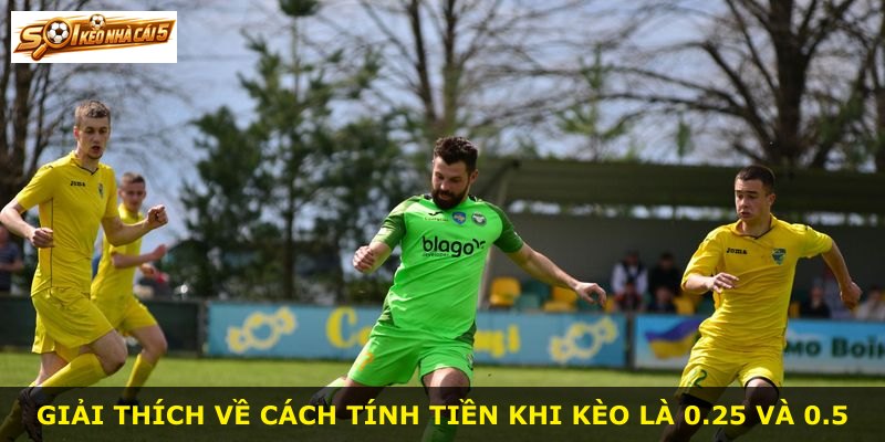 Giải thích về cách tính tiền khi kèo là 0.25 và 0.5