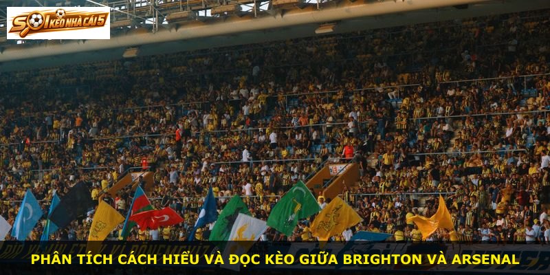 Phân tích cách hiểu và đọc kèo giữa Brighton và Arsenal