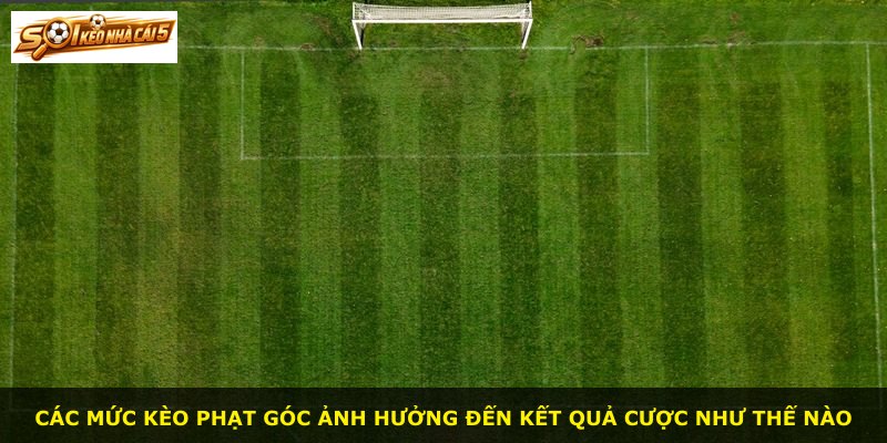 Các mức kèo phạt góc ảnh hưởng đến kết quả cược như thế nào