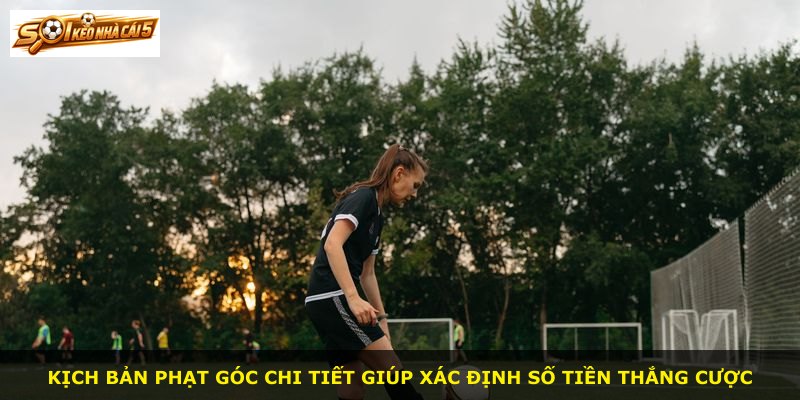 Kịch bản phạt góc chi tiết giúp xác định số tiền thắng cược