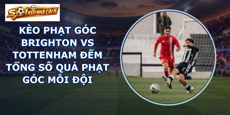 kèo phạt góc Brighton vs Tottenham