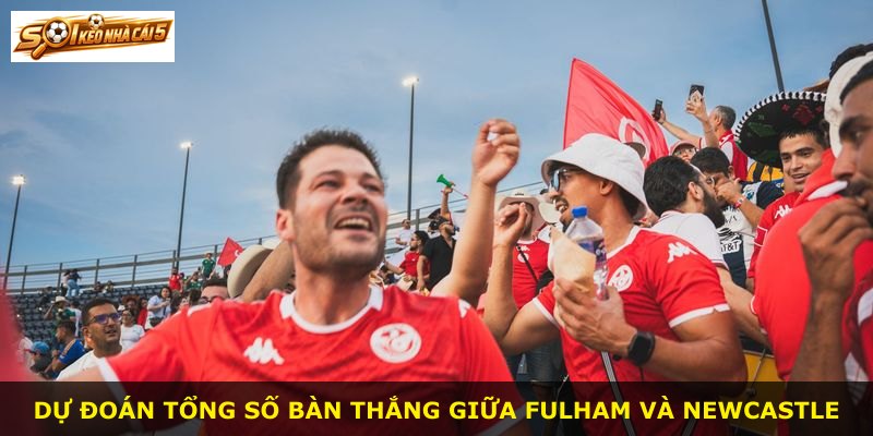 Dự đoán tổng số bàn thắng giữa Fulham và Newcastle