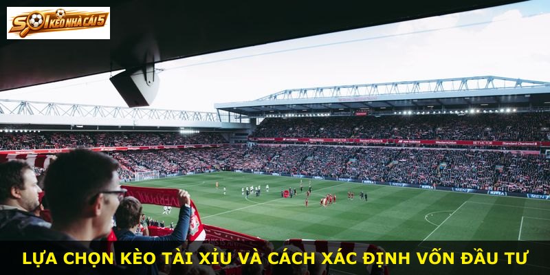 Lựa chọn kèo tài xỉu và cách xác định vốn đầu tư