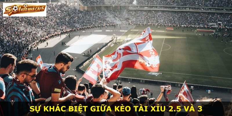 Sự khác biệt giữa kèo tài xỉu 2.5 và 3
