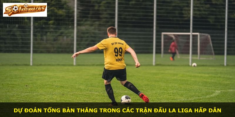 Dự đoán tổng bàn thắng trong các trận đấu La Liga hấp dẫn