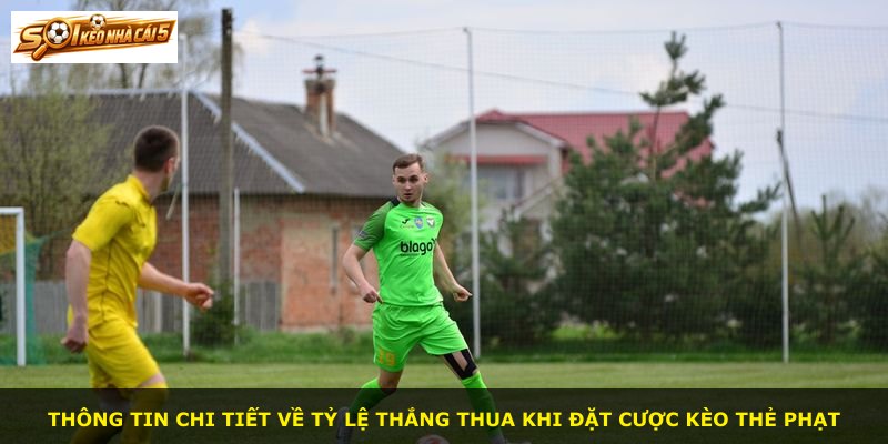 Thông tin chi tiết về tỷ lệ thắng thua khi đặt cược kèo thẻ phạt
