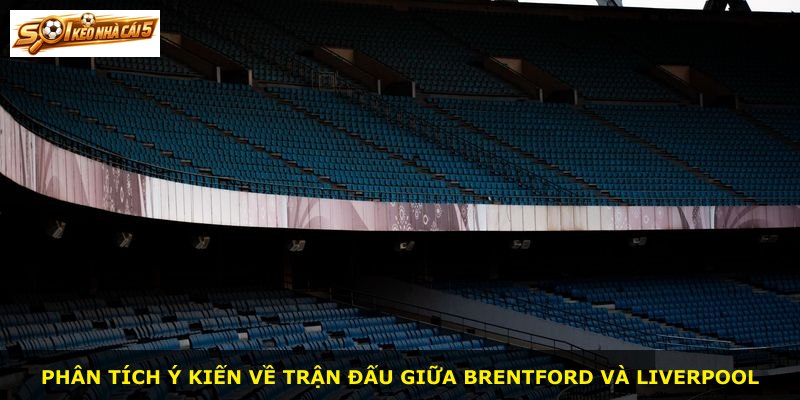 Phân tích ý kiến về trận đấu giữa Brentford và Liverpool