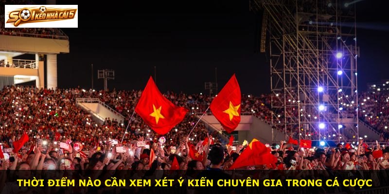 Thời điểm nào cần xem xét ý kiến chuyên gia trong cá cược