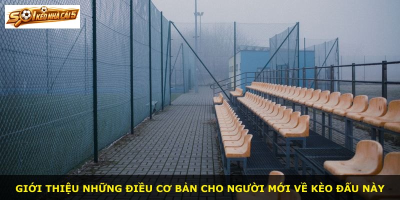 Giới thiệu những điều cơ bản cho người mới về kèo đấu này
