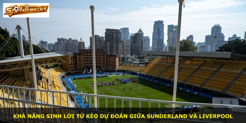 Khả năng sinh lời từ kèo dự đoán giữa Sunderland và Liverpool