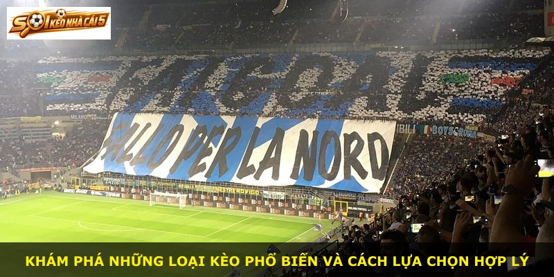 Khám phá những loại kèo phổ biến và cách lựa chọn hợp lý