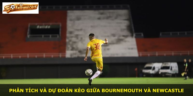 Phân tích và dự đoán kèo giữa Bournemouth và Newcastle