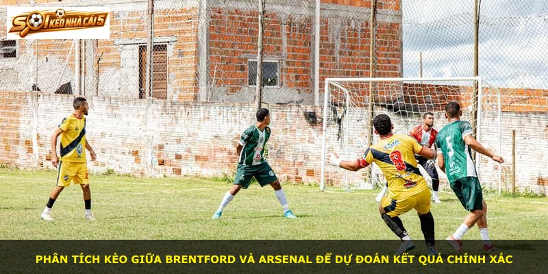 Phân tích kèo giữa Brentford và Arsenal để dự đoán kết quả chính xác