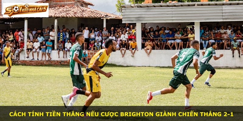 Cách tính tiền thắng nếu cược Brighton giành chiến thắng 2-1