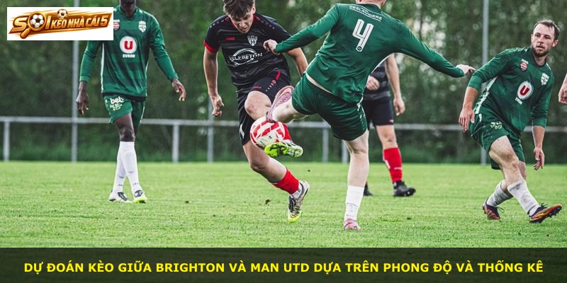 Dự đoán kèo giữa Brighton và Man Utd dựa trên phong độ và thống kê