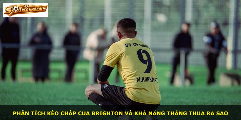 Phân tích kèo chấp của Brighton và khả năng thắng thua ra sao