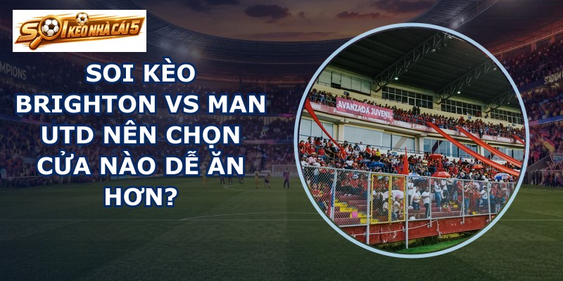 soi kèo Brighton vs Man Utd