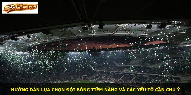 Hướng dẫn lựa chọn đội bóng tiềm năng và các yếu tố cần chú ý