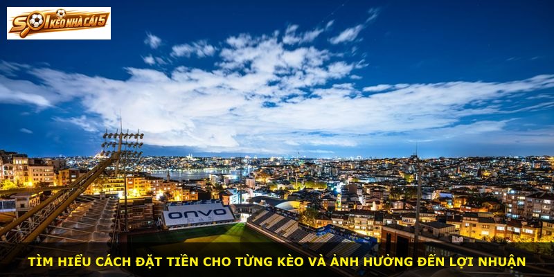 Tìm hiểu cách đặt tiền cho từng kèo và ảnh hưởng đến lợi nhuận