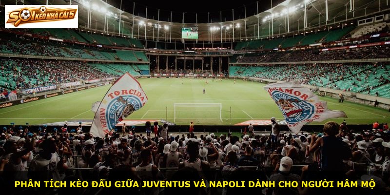 Phân tích kèo đấu giữa Juventus và Napoli dành cho người hâm mộ