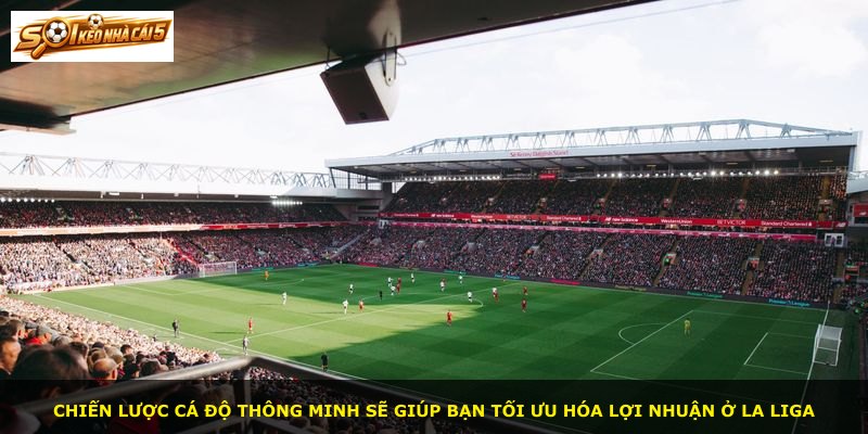 Chiến lược cá độ thông minh sẽ giúp bạn tối ưu hóa lợi nhuận ở La Liga