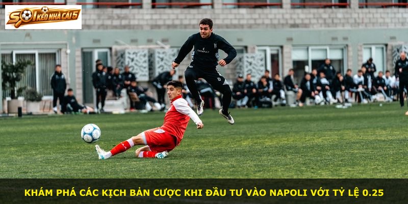 Khám phá các kịch bản cược khi đầu tư vào Napoli với tỷ lệ 0.25