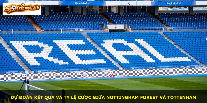 Dự đoán kết quả và tỷ lệ cược giữa Nottingham Forest và Tottenham