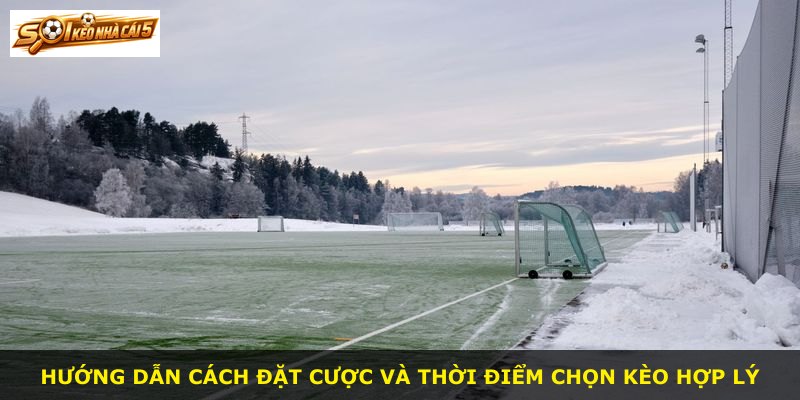 Hướng dẫn cách đặt cược và thời điểm chọn kèo hợp lý