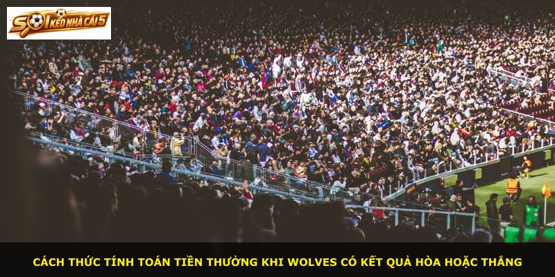 Cách thức tính toán tiền thưởng khi Wolves có kết quả hòa hoặc thắng