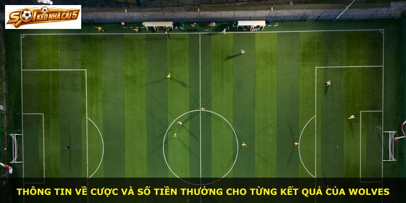 Thông tin về cược và số tiền thưởng cho từng kết quả của Wolves