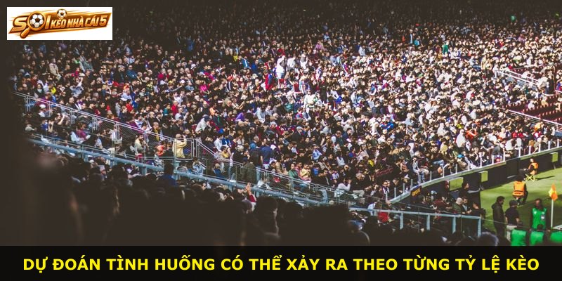 Dự đoán tình huống có thể xảy ra theo từng tỷ lệ kèo