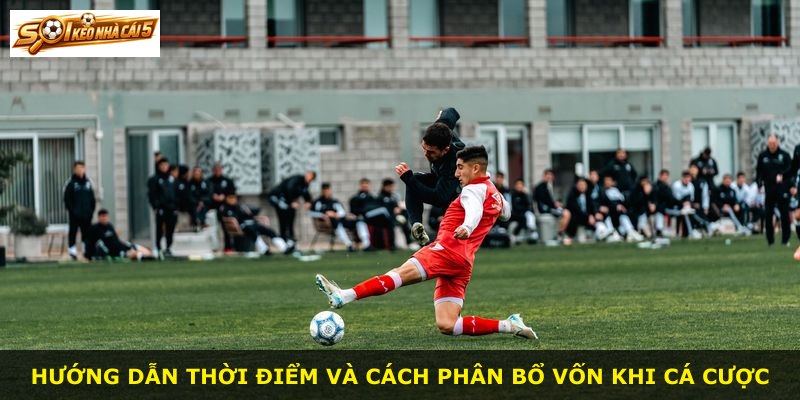 Hướng dẫn thời điểm và cách phân bổ vốn khi cá cược