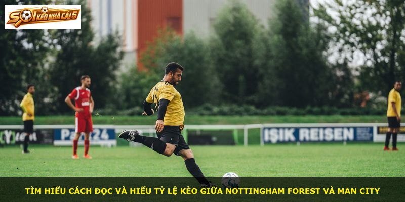 Tìm hiểu cách đọc và hiểu tỷ lệ kèo giữa Nottingham Forest và Man City